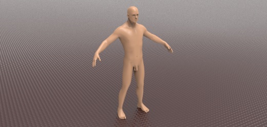 男性人体缩略图